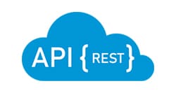 api logo